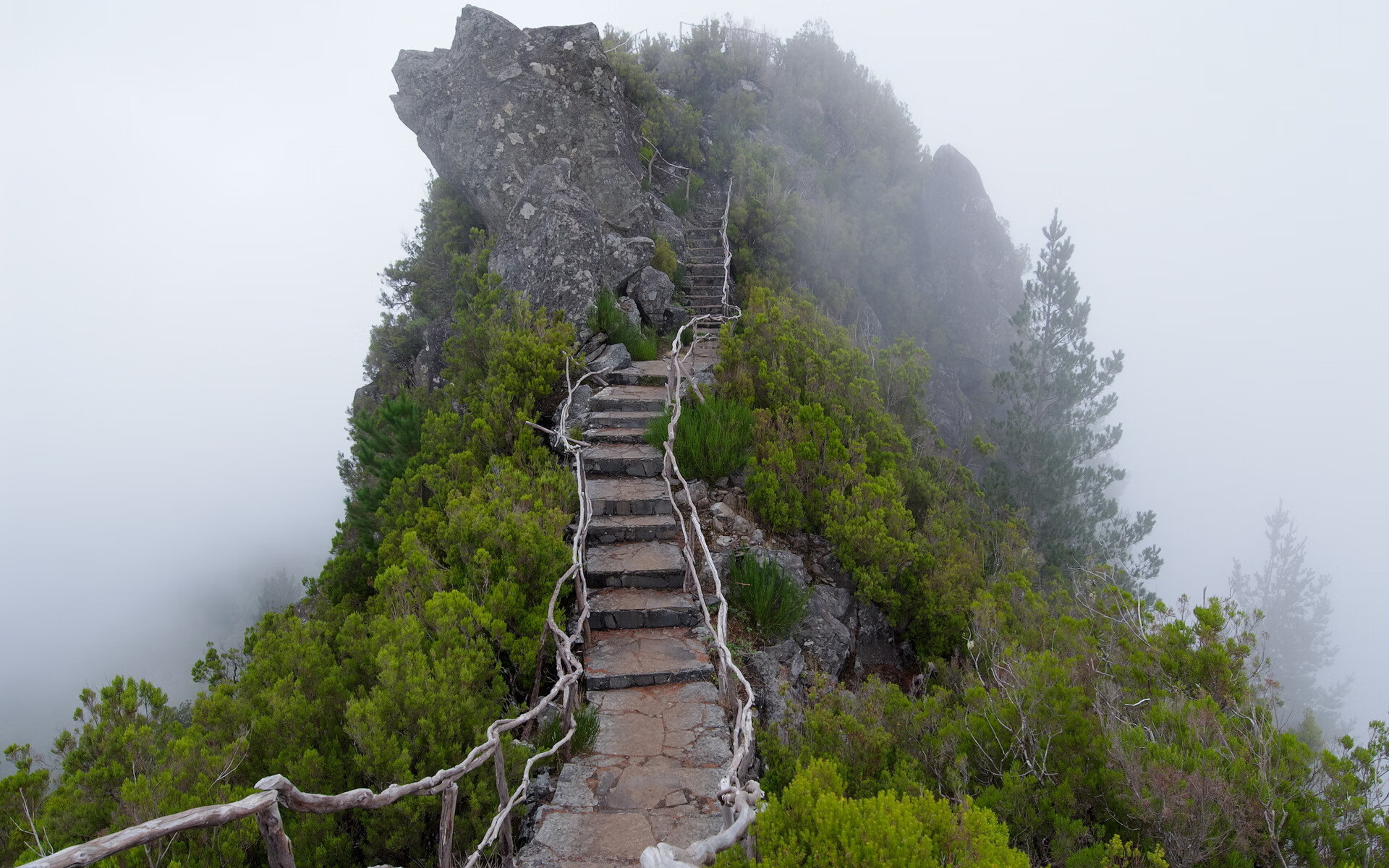 川崎前锋与横滨水手激烈对决，川崎前锋 横滨