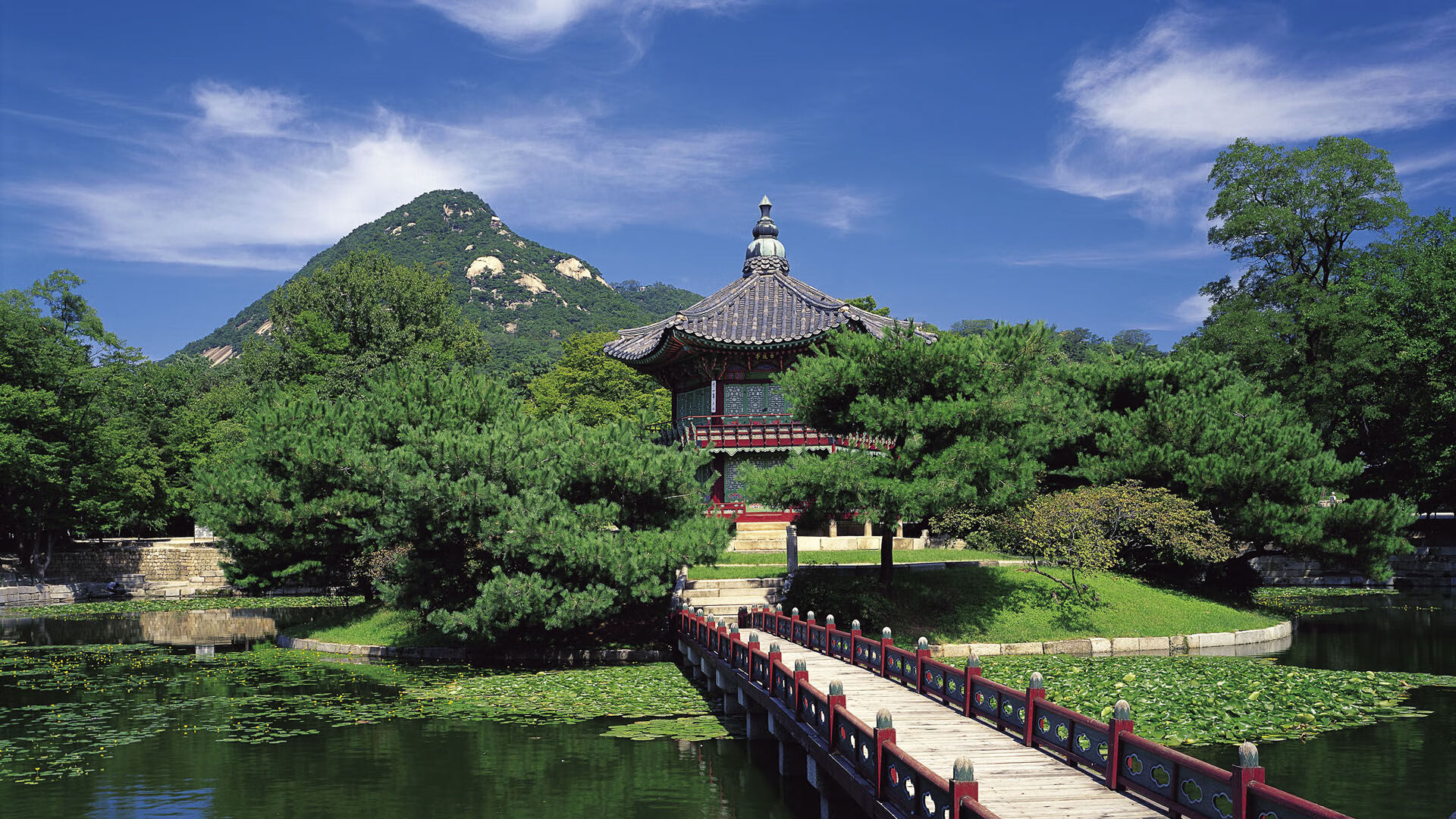 校园体育场馆智能管理应用，校园体育场馆智能管理应用有哪些
