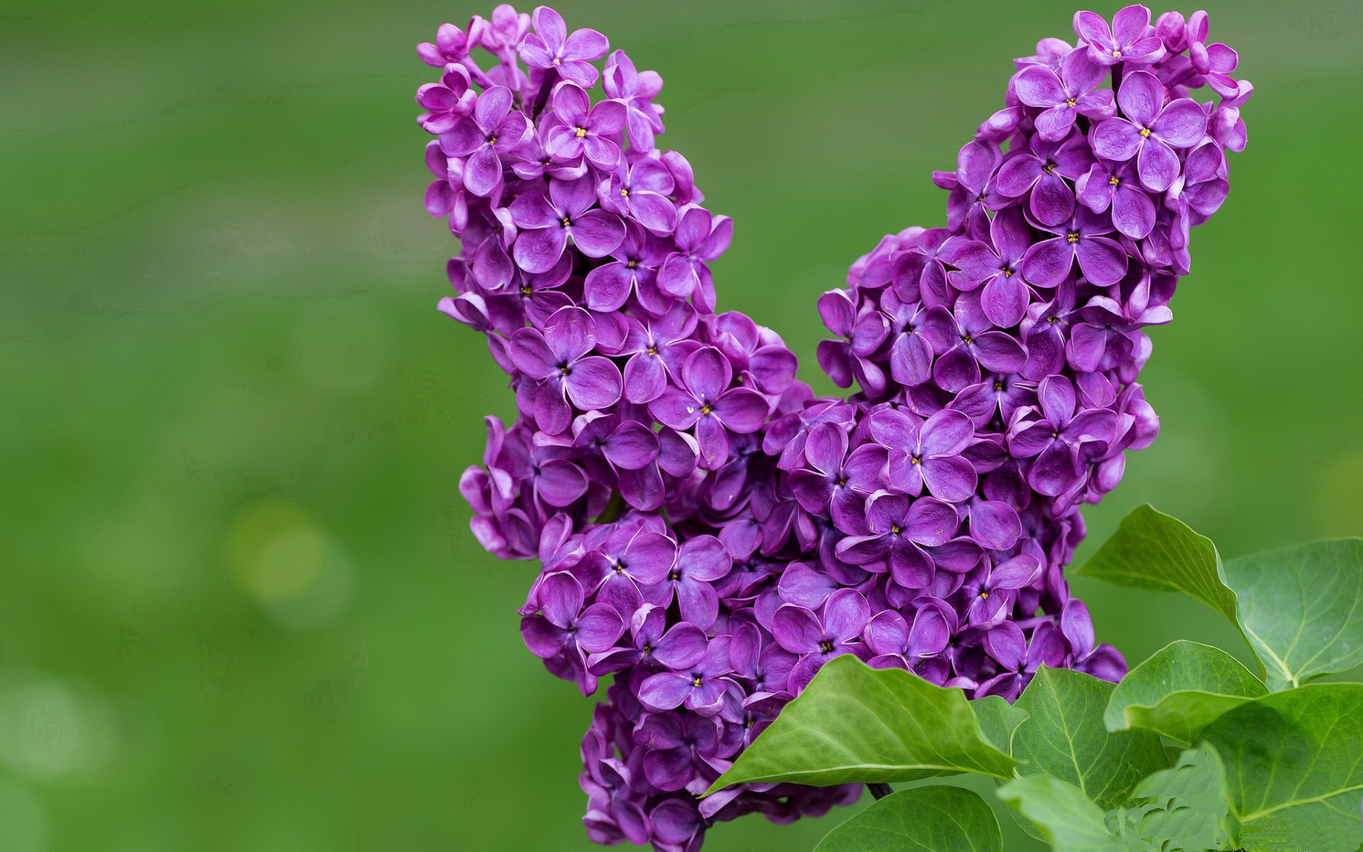 九游娱乐入口-2024年国际乒乓赛事新规公布，球迷期待，2021年国际乒乓球比赛时间