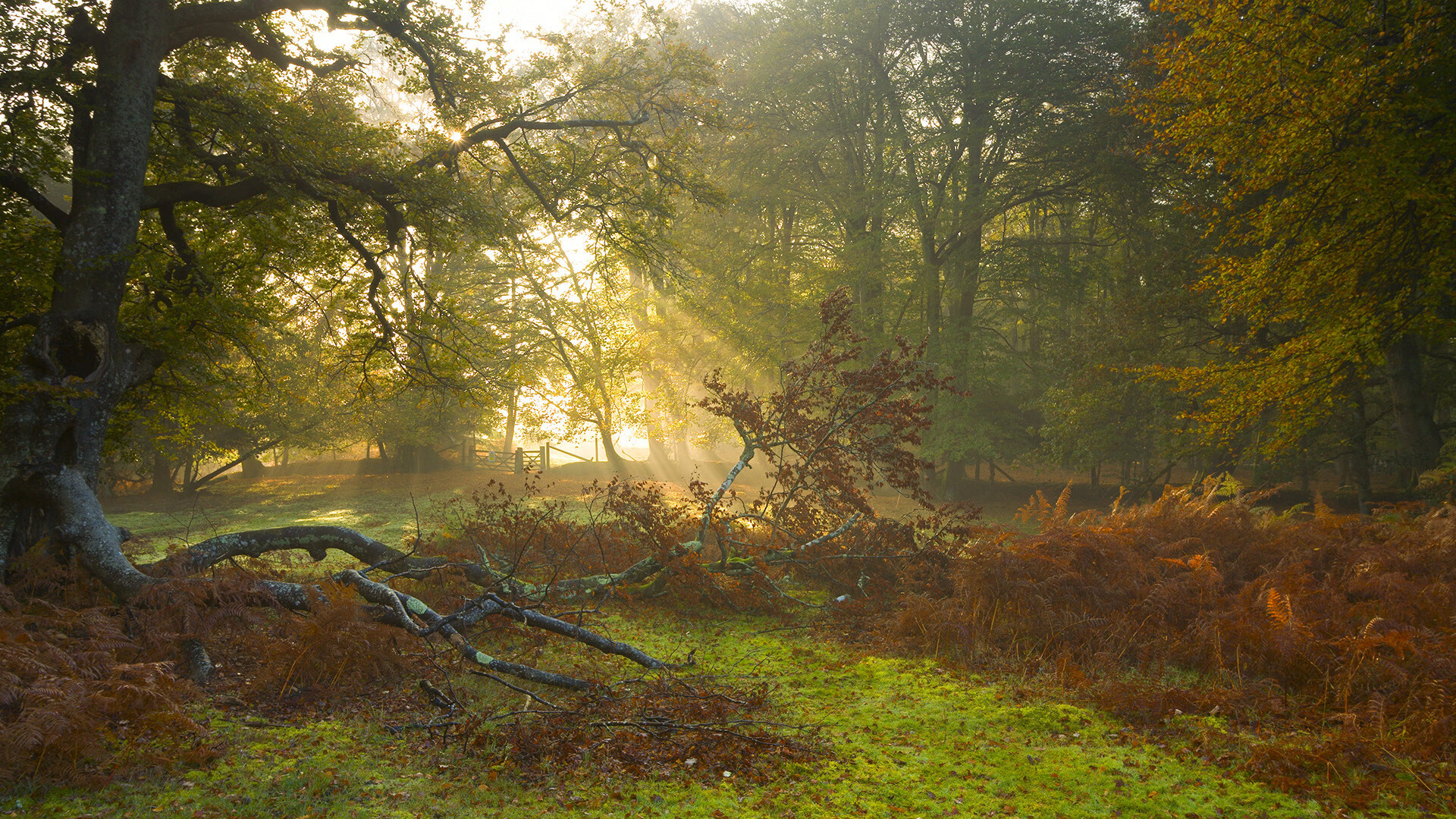 主教练临场指挥干预是否比赛前战术布置更重要,教练员赛场指挥的原则