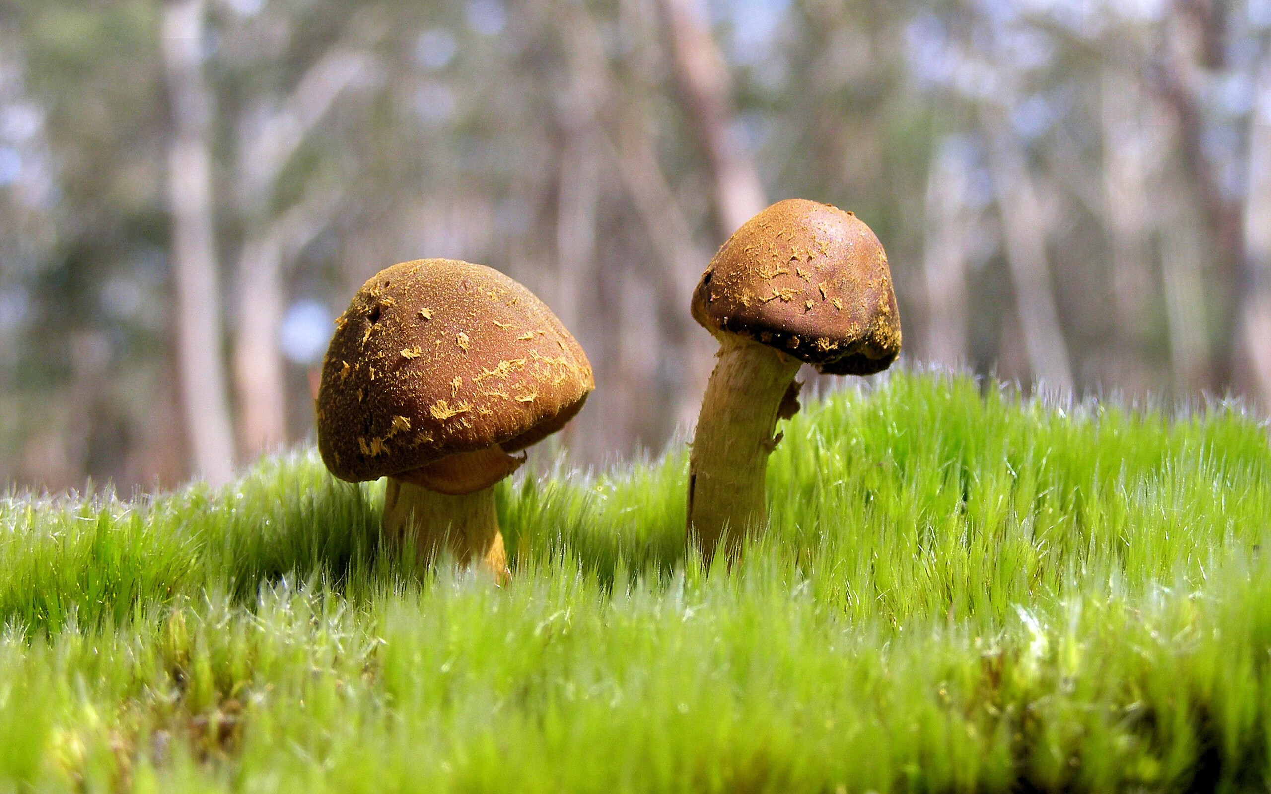 九游平台-俱乐部青训体系建设难题，俱乐部青训体系建设难题及建议