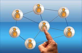 九游体育网页入口-德国队与国际乒联混合团体世界杯赛制的互动与挑战，德国队乒乓