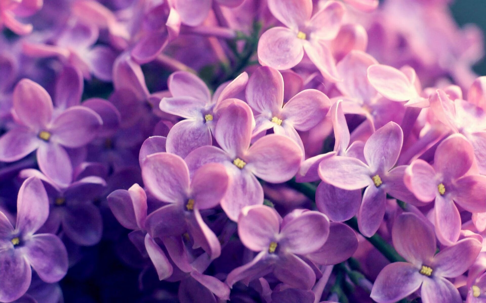 九游会-控卫是否应具备节奏压制与提速双向能力，控卫怎么控制节奏