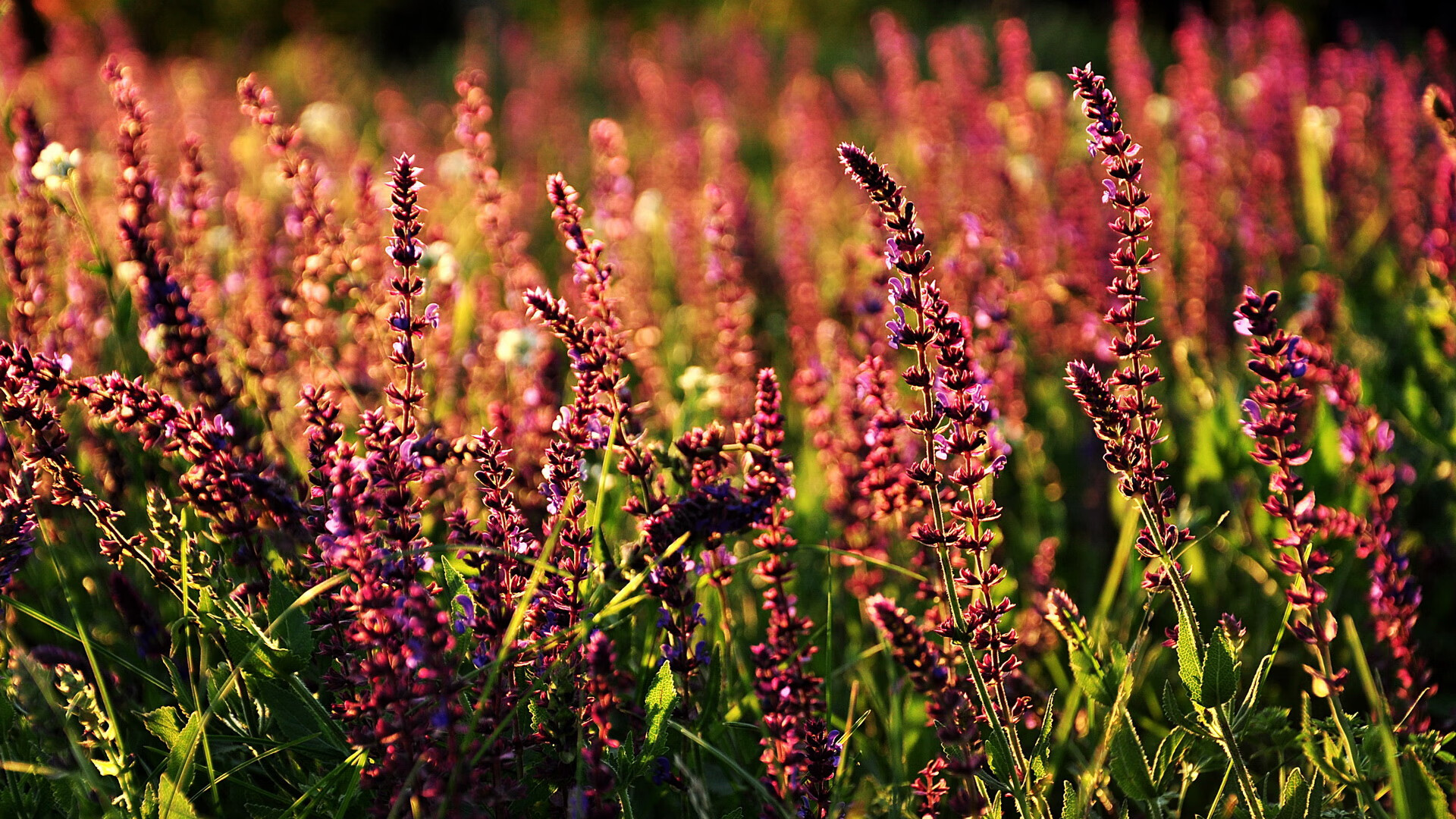 九游体育网页入口-新加坡队的全面提升：国际乒联混合团体世界杯赛事表现总结，新加坡乒乓球世界冠军