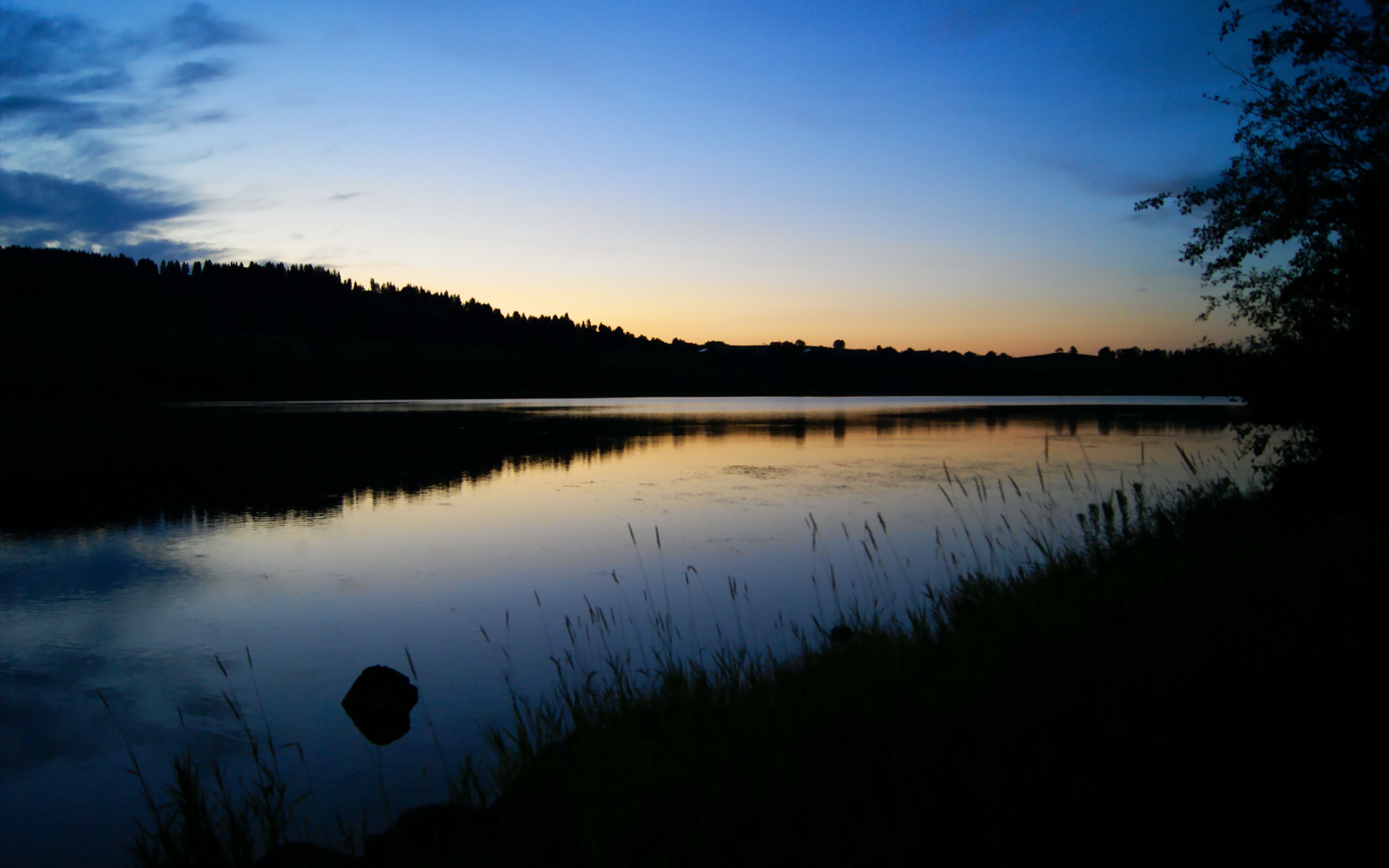 高校体育特色班级评选活动启动,学校体育特色项目介绍