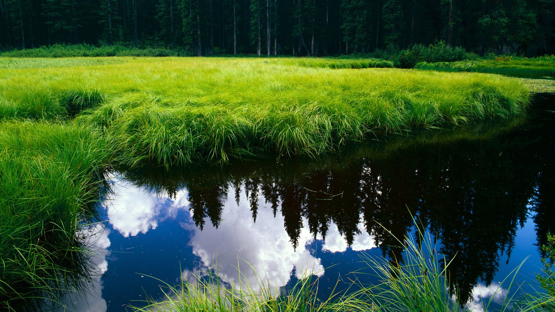 王宗源冲刺阶段爆发力十足，王宗源比赛